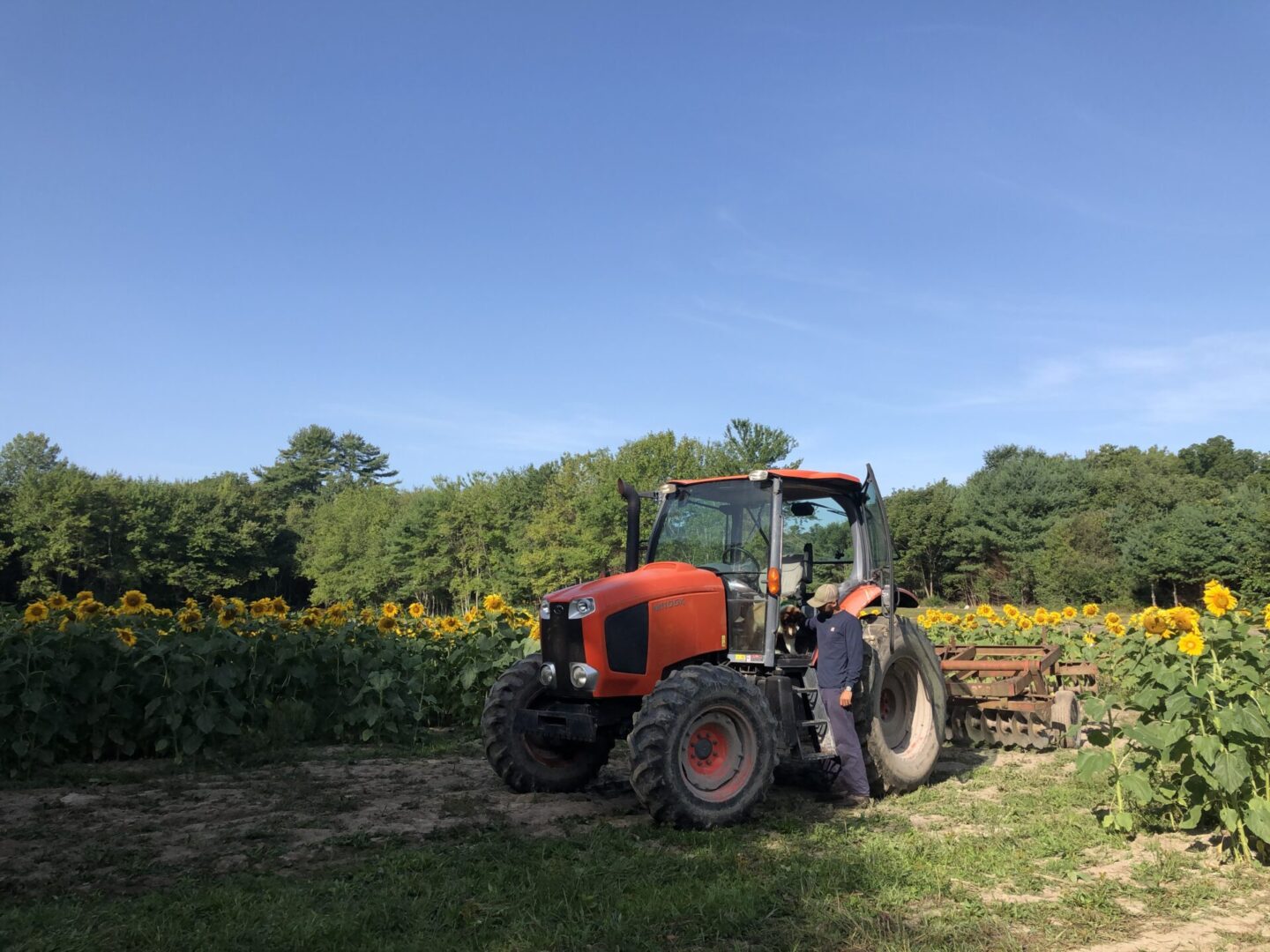 File_019 File_019